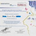 Ampliar imagen: certificate 14
