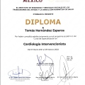 Ampliar imagen: certificate 6
