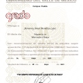Ampliar imagen: certificate 3