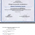 Ampliar imagen: certificate 45
