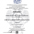Ampliar imagen: certificate 2