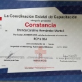 Ampliar imagen: certificate 5