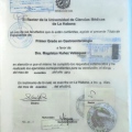 Ampliar imagen: certificate 6