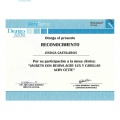 Ampliar imagen: certificate 4