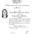 Ampliar imagen: certificate 3