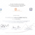 Ampliar imagen: certificate 3