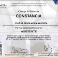 Ampliar imagen: certificate 11