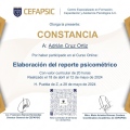 Ampliar imagen: certificate 19