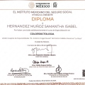 Ampliar imagen: certificate 1