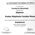 Ampliar imagen: certificate 3