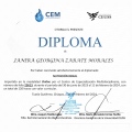 Ampliar imagen: certificate 3