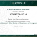 Ampliar imagen: certificate 5