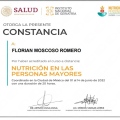 Ampliar imagen: certificate 13