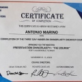 Ampliar imagen: certificate 8