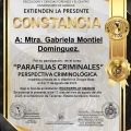 Ampliar imagen: certificate 13