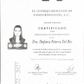Ampliar imagen: certificate 2