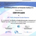 Ampliar imagen: certificate 3