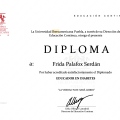 Ampliar imagen: certificate 4