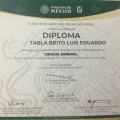 Ampliar imagen: certificate 6