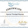Ampliar imagen: certificate 4