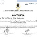 Ampliar imagen: certificate 11