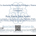 Ampliar imagen: certificate 9