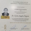 Ampliar imagen: certificate 4