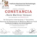 Ampliar imagen: certificate 9