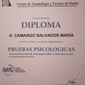 Ampliar imagen: certificate 9