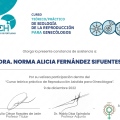 Ampliar imagen: certificate 3