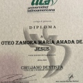 Ampliar imagen: certificate 3