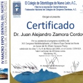 Ampliar imagen: certificate 11