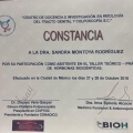 Ampliar imagen: certificate 10