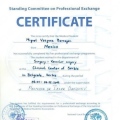 Ampliar imagen: certificate 6