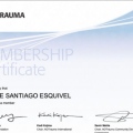 Ampliar imagen: certificate 9