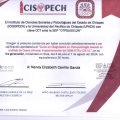Ampliar imagen: certificate 2
