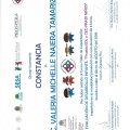Ampliar imagen: certificate 4