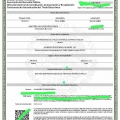 Ampliar imagen: certificate 9