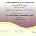 Ampliar imagen: certificate 5