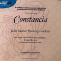 Ampliar imagen: certificate 8