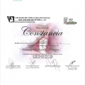 Ampliar imagen: certificate 33