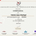 Ampliar imagen: certificate 6