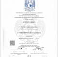 Ampliar imagen: certificate 5