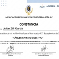 Ampliar imagen: certificate 7