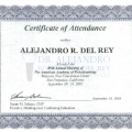 Ampliar imagen: certificate 20