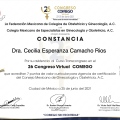 Ampliar imagen: certificate 24