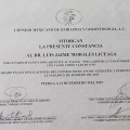 Ampliar imagen: certificate 5