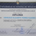 Ampliar imagen: certificate 5