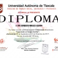 Ampliar imagen: certificate 4