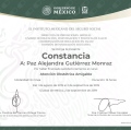Ampliar imagen: certificate 23